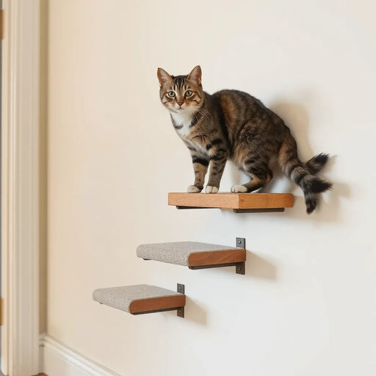 A cat climbs wall-mounted steps with secure brackets in a clean, modern hallway