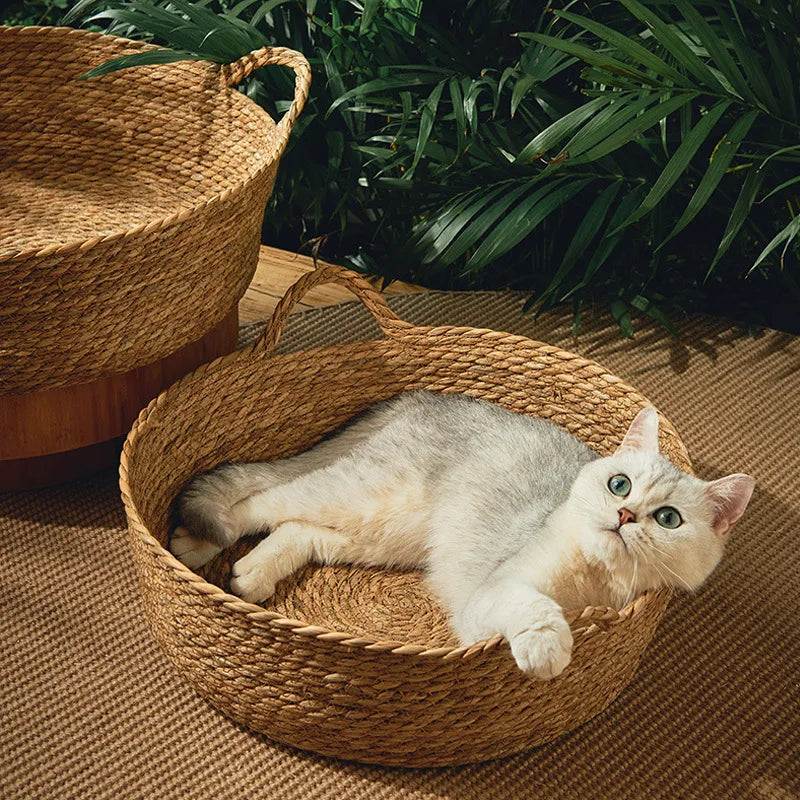Loungers