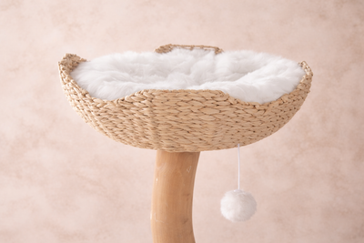 Nest Basket