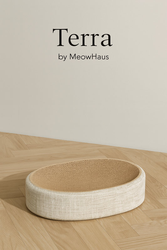 Terra